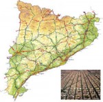 El territori. Quin "territori"?